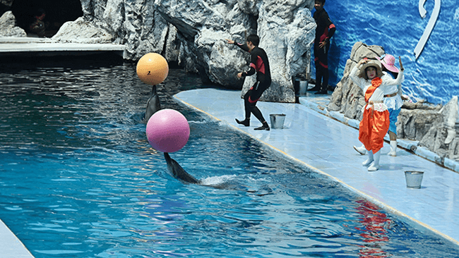 Leisure day in Bangkok