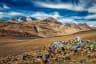 Ladakh 