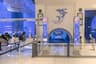 Dubai Aquarium & Underwater Zoo