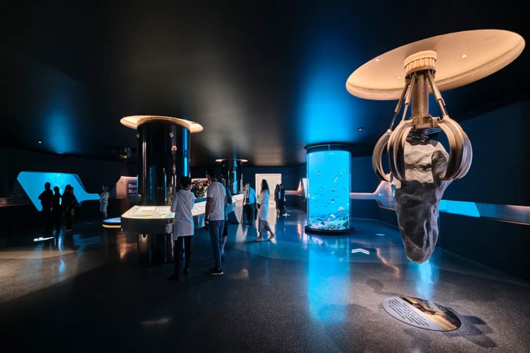 Interactive Exhibits