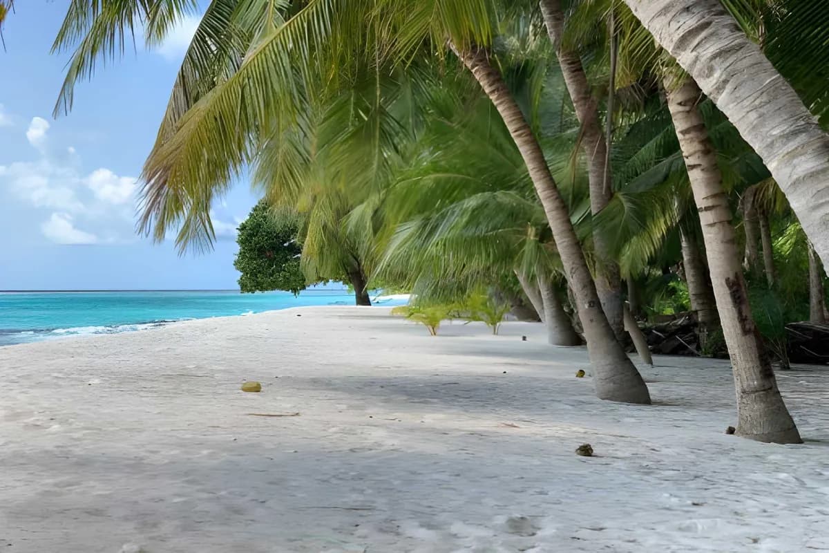 Vaadhoo North Beach