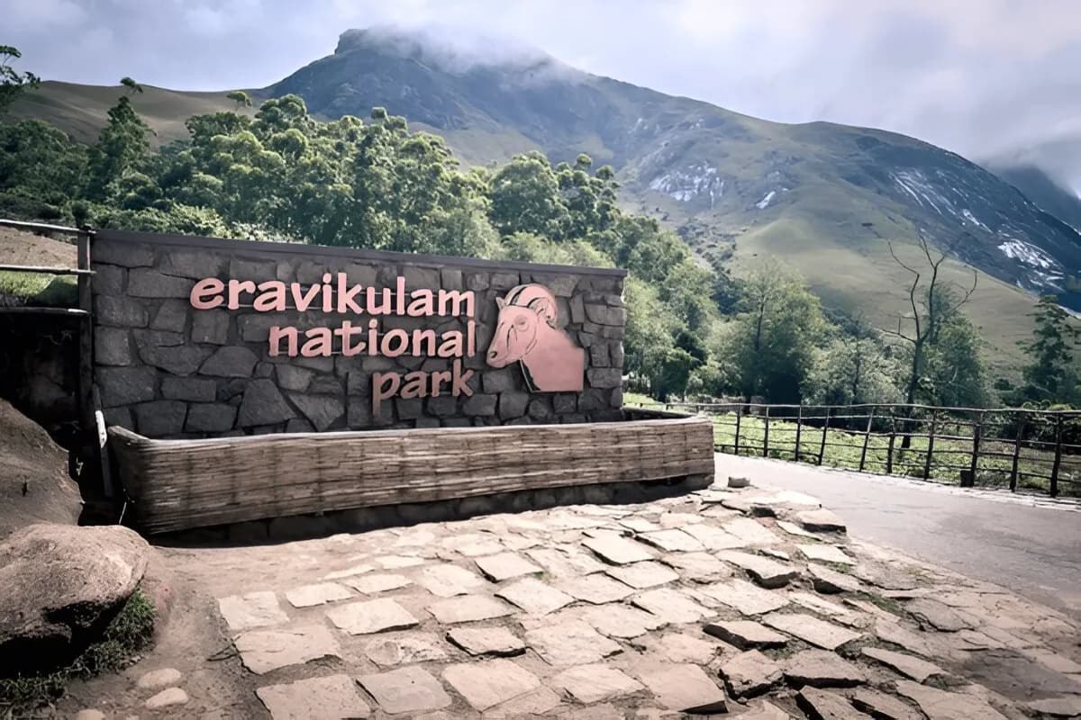Eravikulam National Park