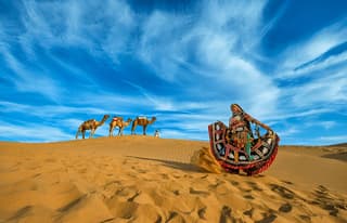 Adventurous Ranthambore and Bharatpur 