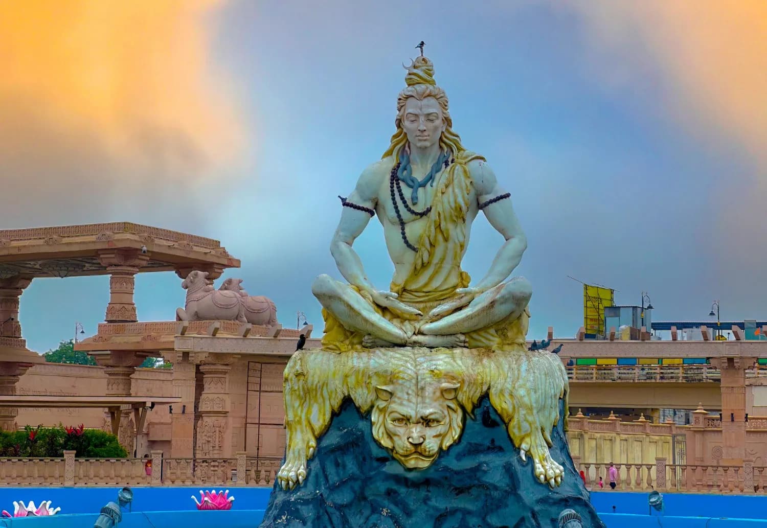 attractionImage