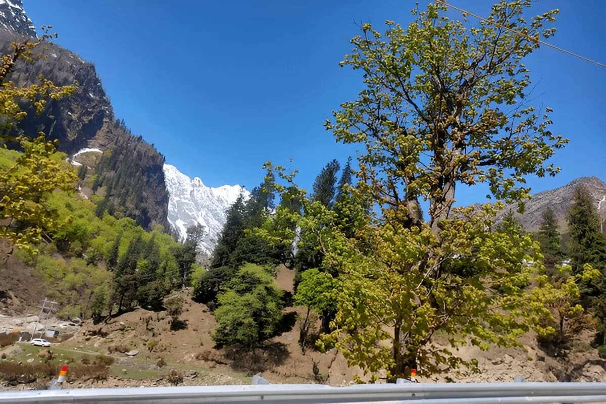 Manali Wildlife Sanctuary