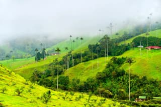 Kerala Tropical Escape