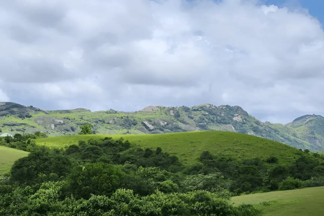 Kurisumala Viewpoint