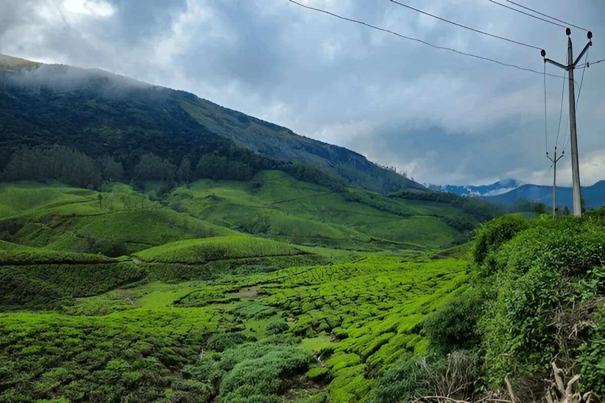 Kolukkumalai Tea Estate