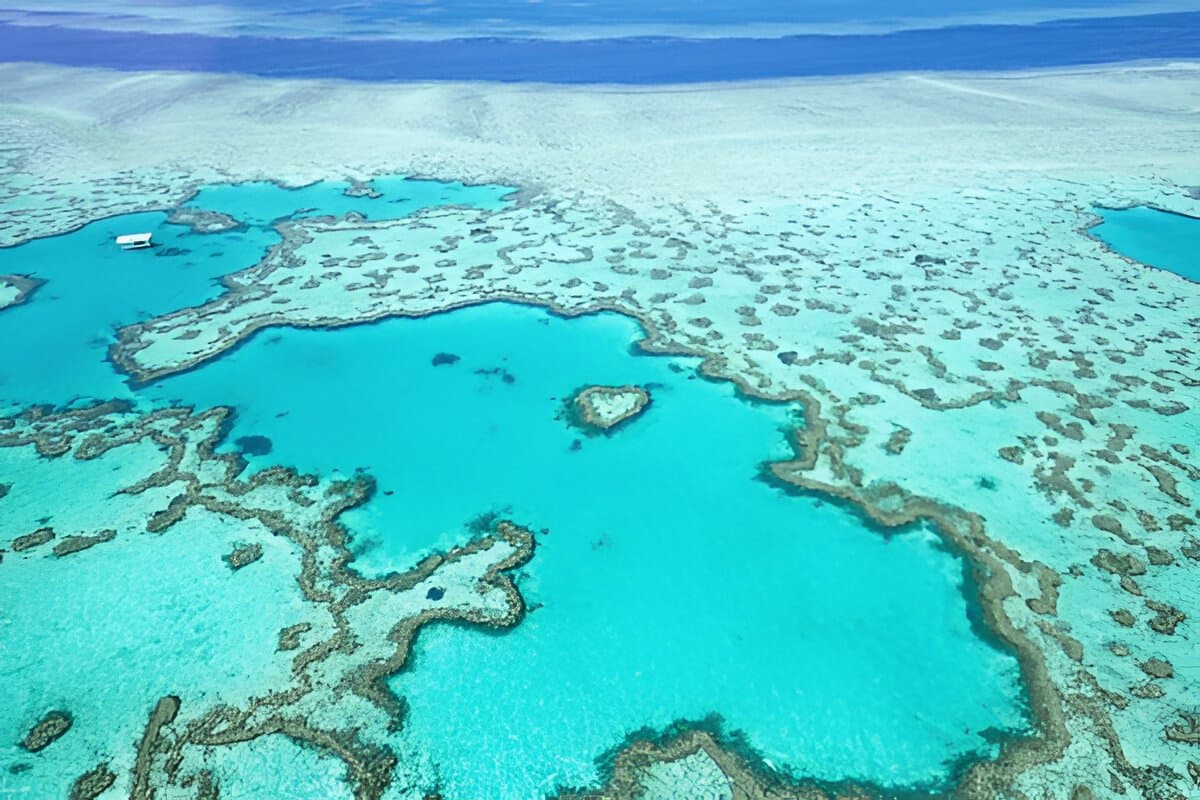 The Great Barrier Reef