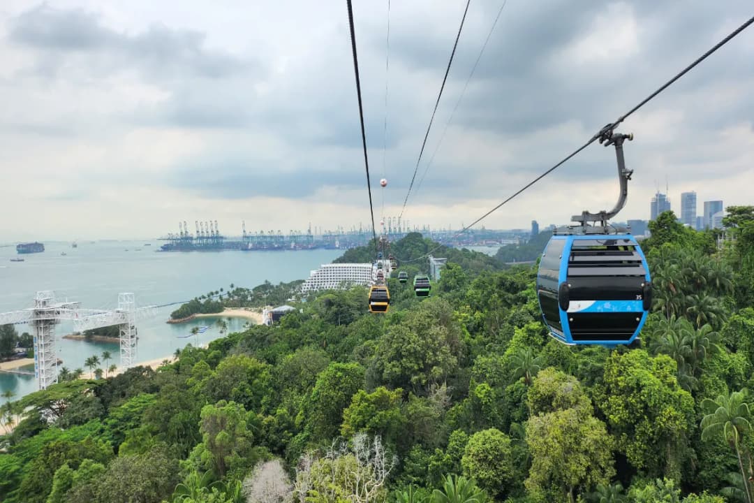 Cable Car Thrills