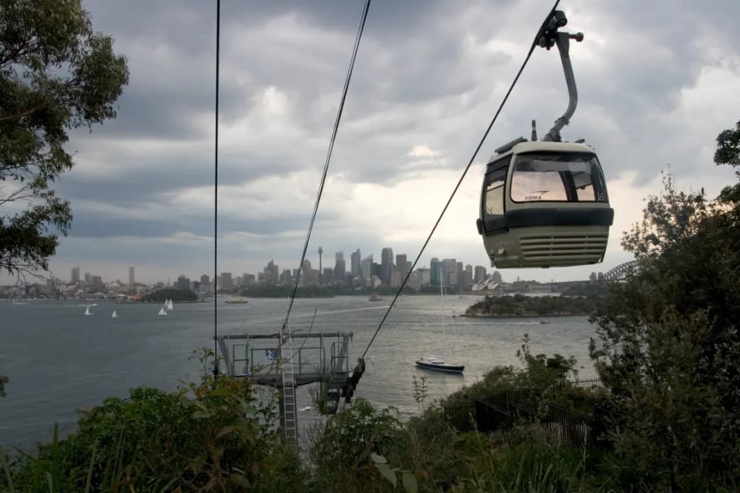 Sky Safari Cable Car