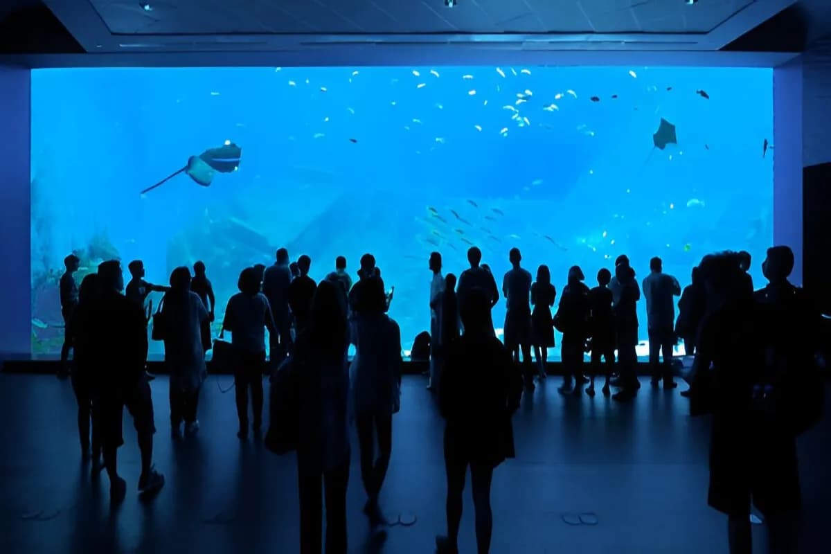 Singapore Oceanarium