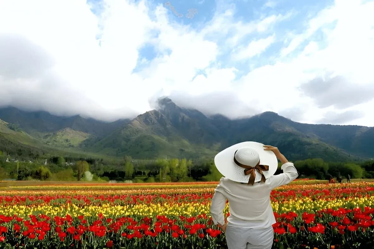 Tulip Garden Srinagar