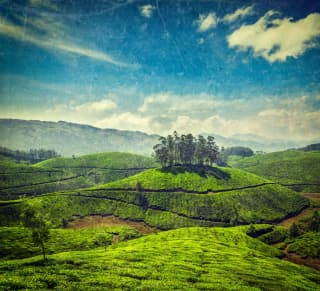 Short Trip to Munnar
