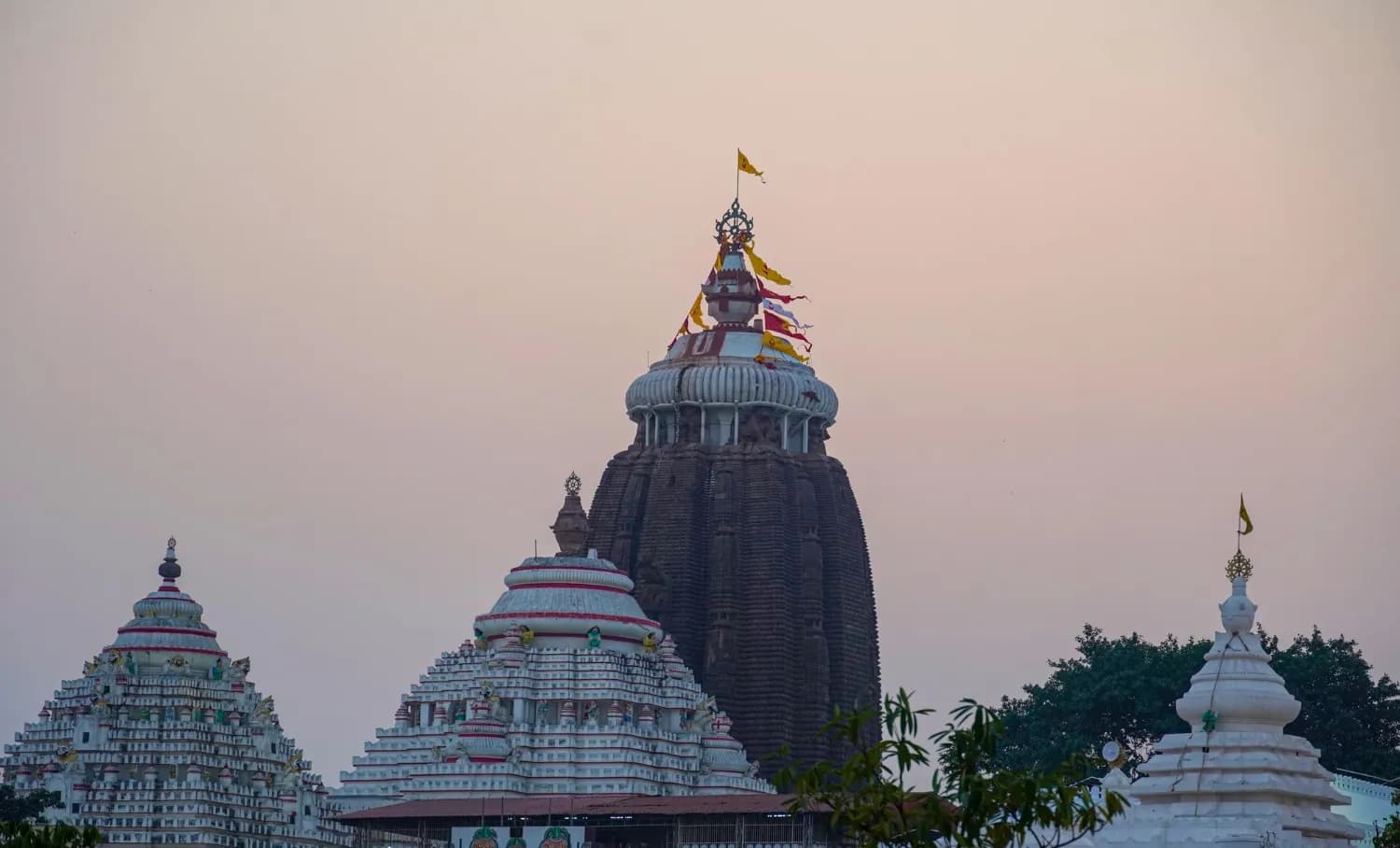 Icons of Odisha - Konark & Jagannath Temple Excursion