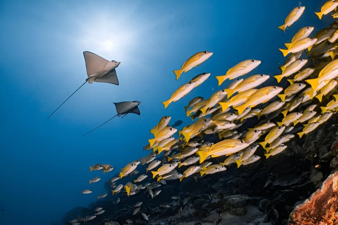 Photographer’s Paradise