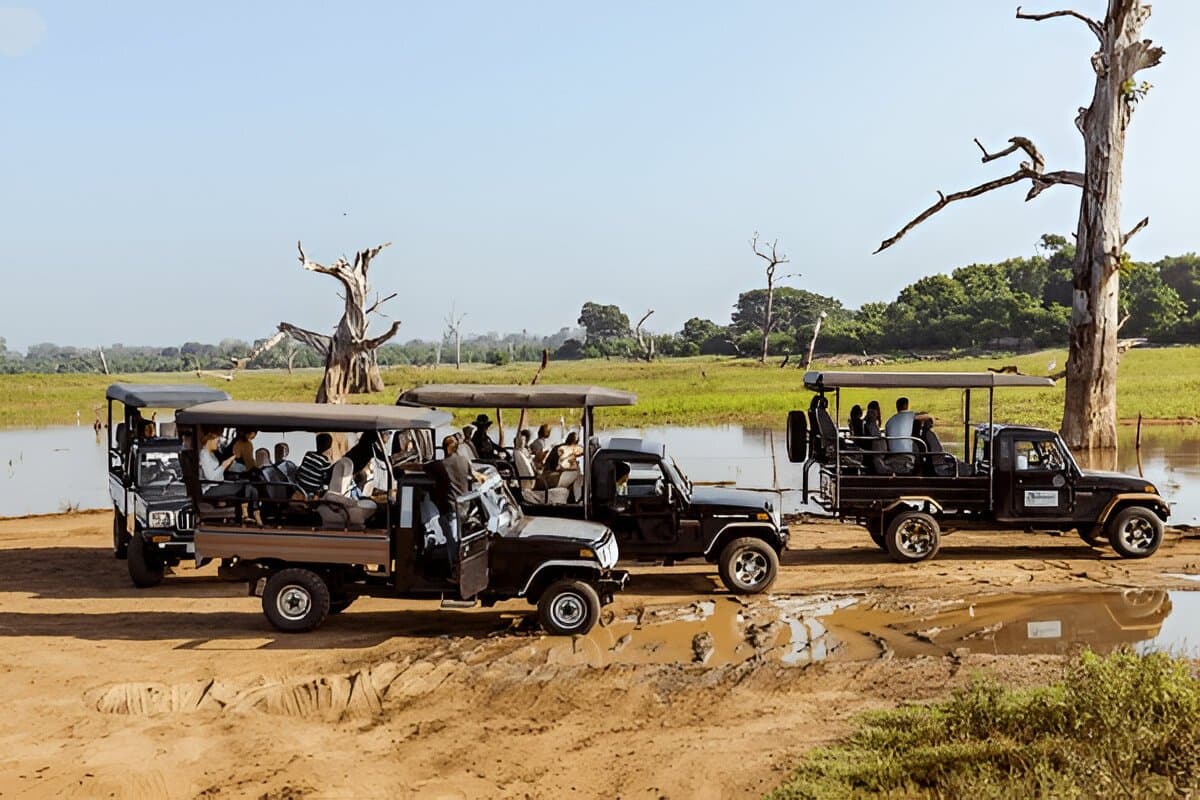 Udawalawe National Park Sri Lanka