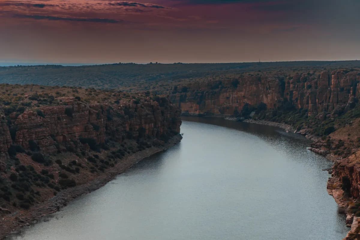 shutterstock_2014555820