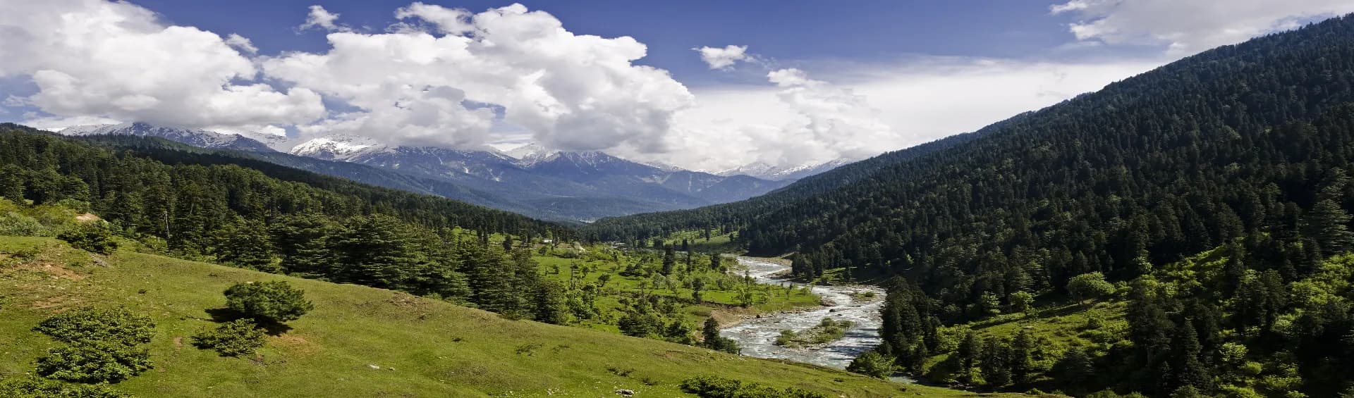 Kashmir in July