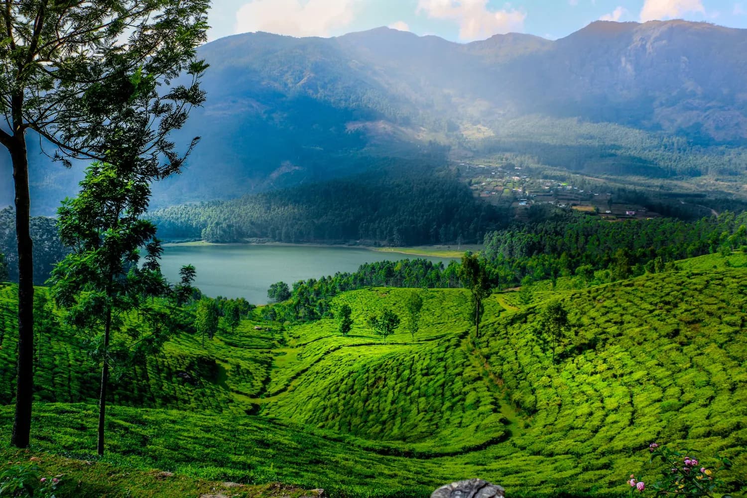 Royal Trails of Mysore and Coorg