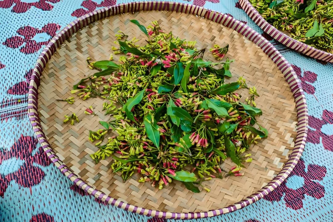 Eco-Friendly Practices