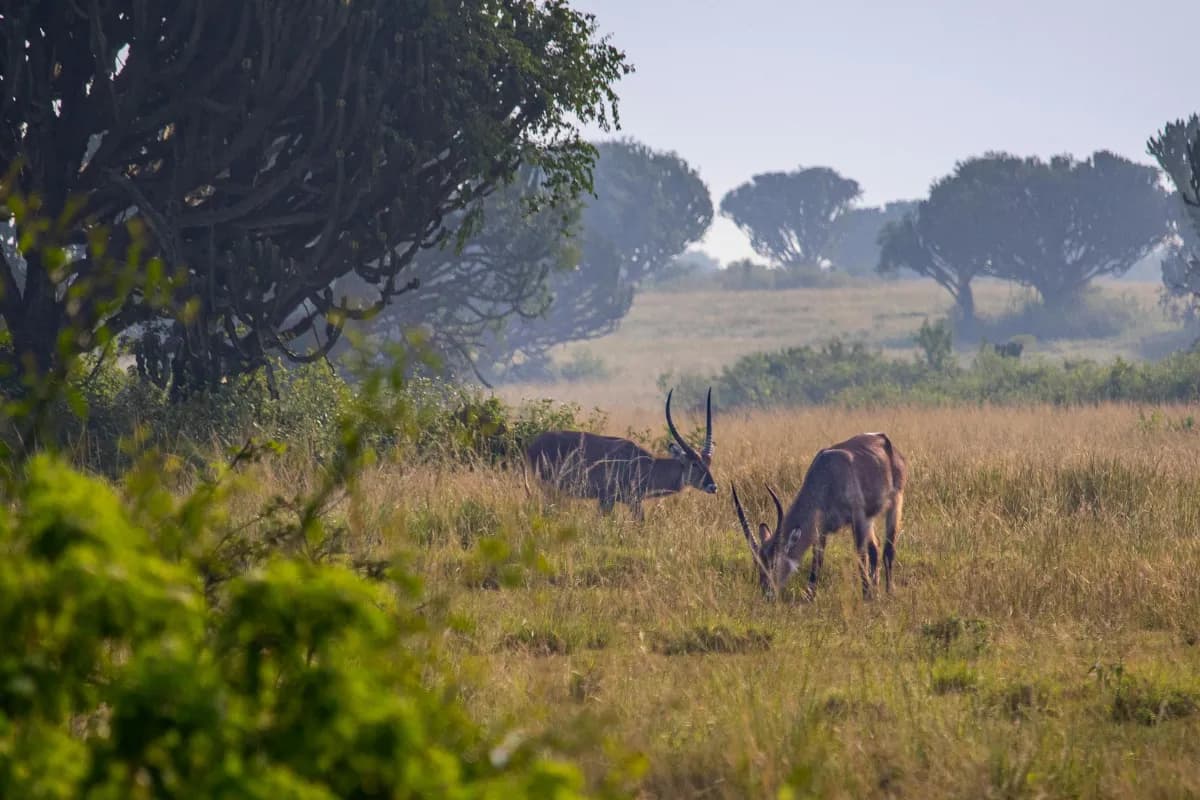 Nature & Wildlife