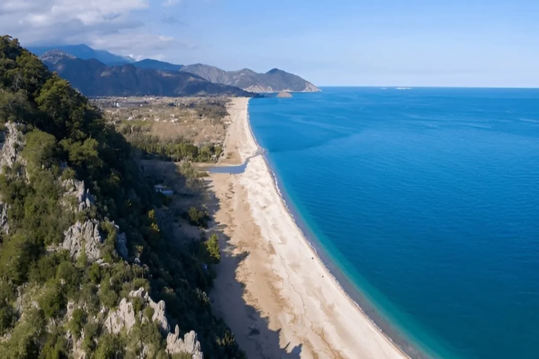 Clean & Natural Shoreline