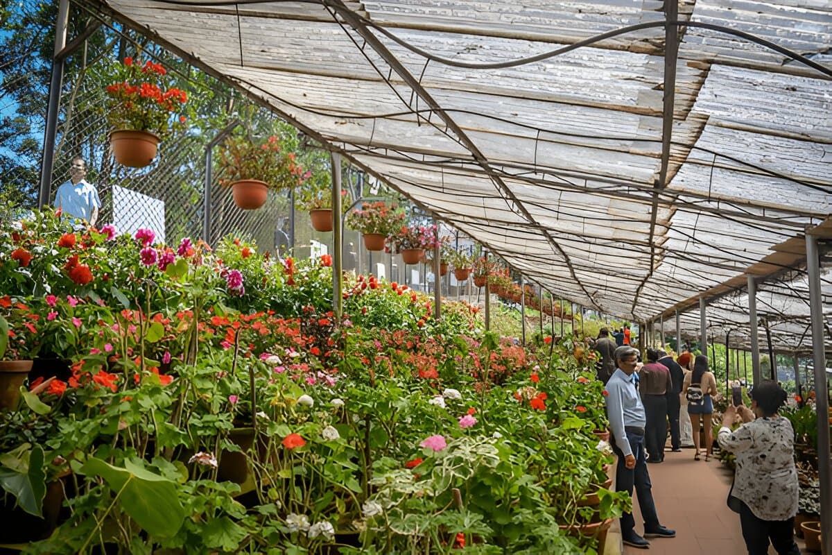 Munnar Flower Garden