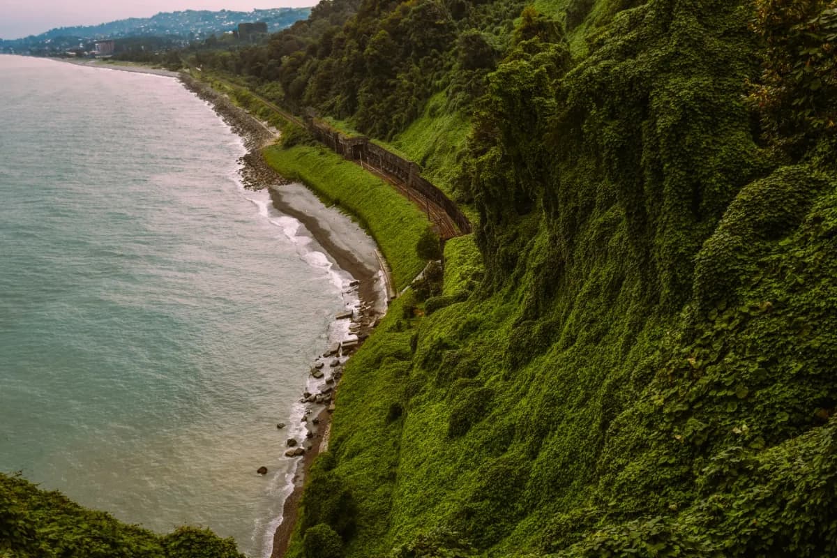 Batumi Botanical Garden