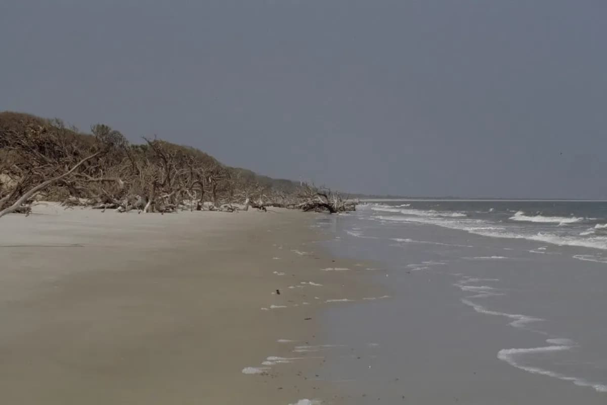 Blackbeard Island