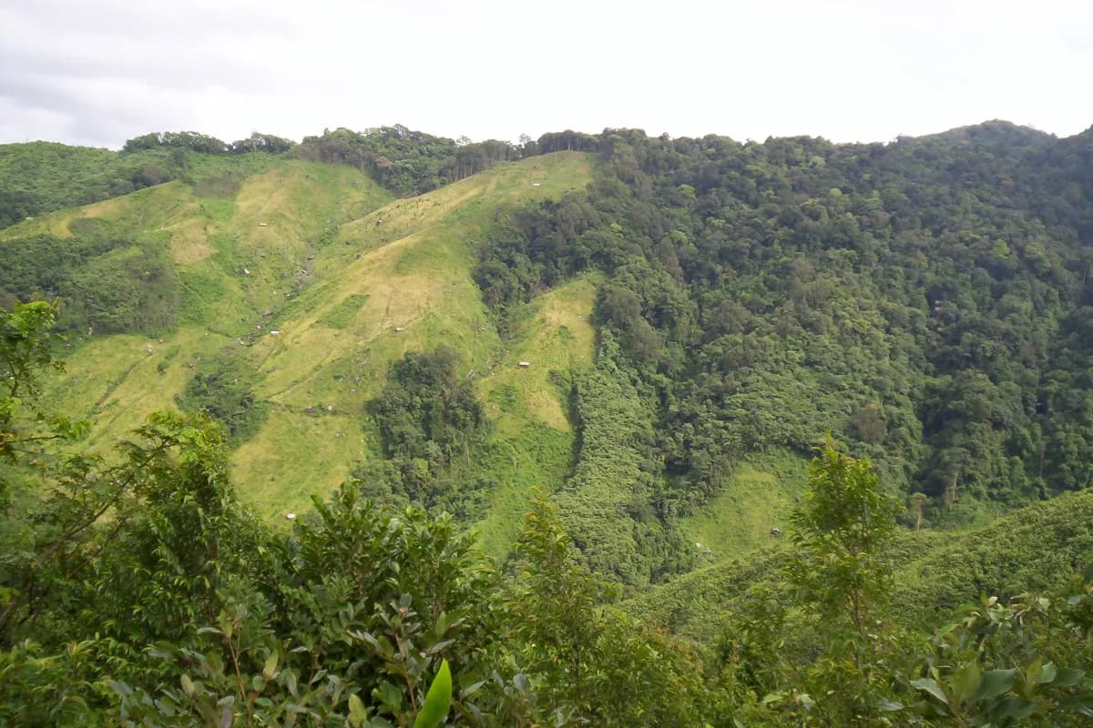 Nokrek National Park