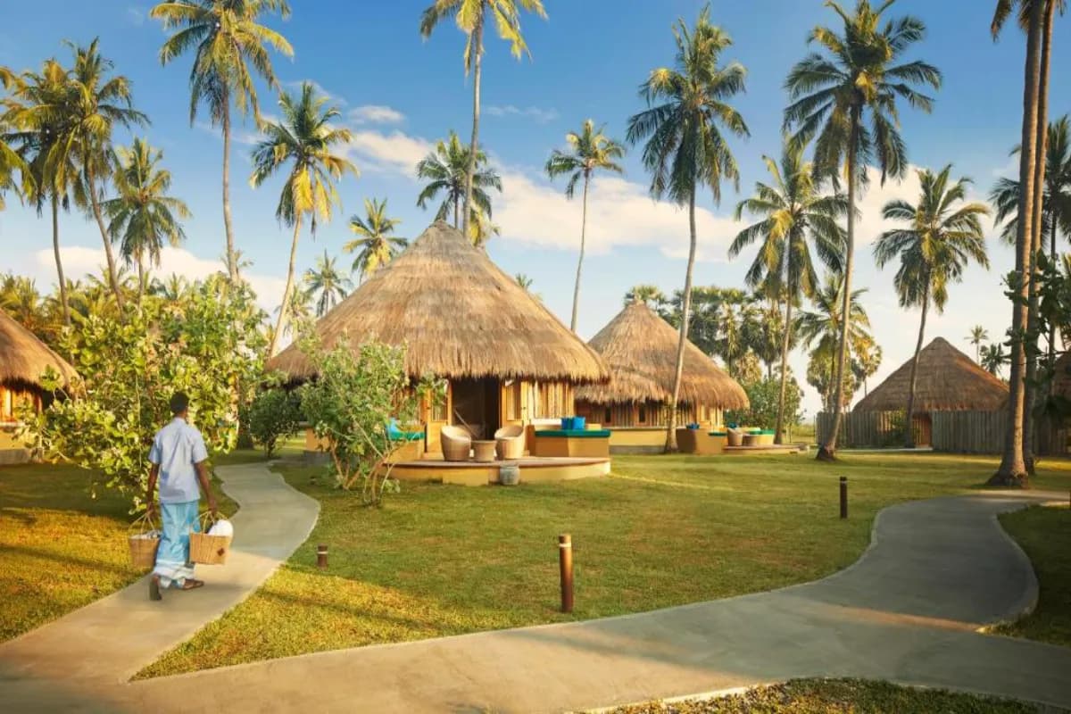 Jetwing Surf & Safari