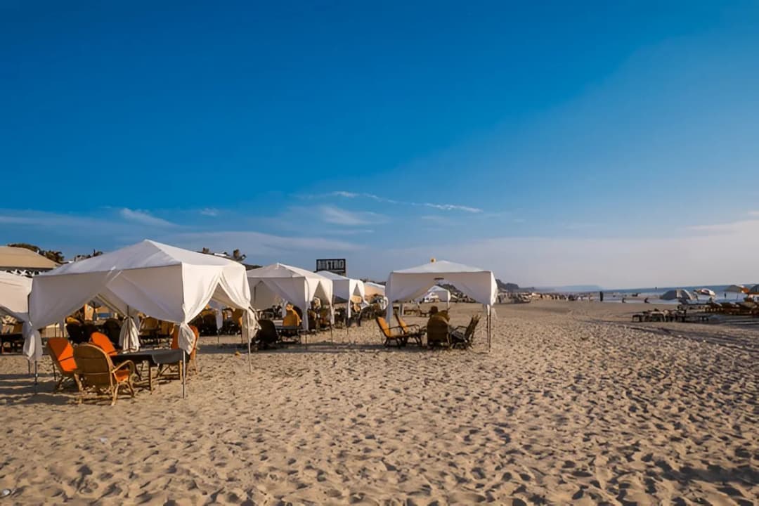 Local Seafood Shacks