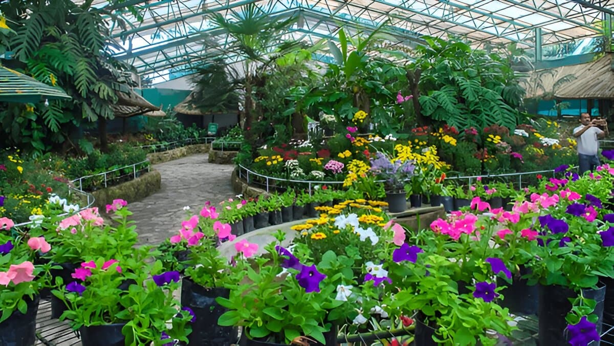 Flower Exhibition Centre - Ridge Park