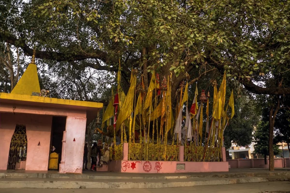 Siddh Baba Mandir