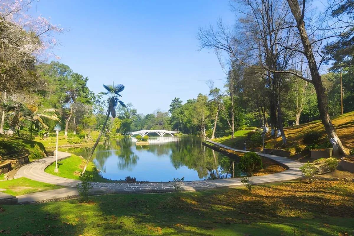 Ward’s Lake