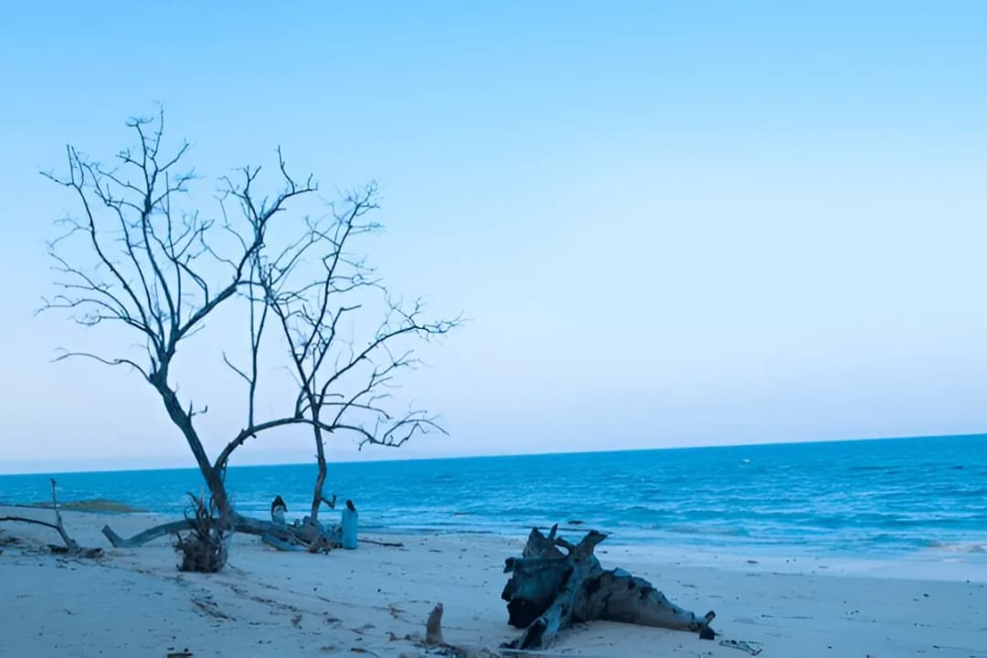Elephant Beach (Havelock)