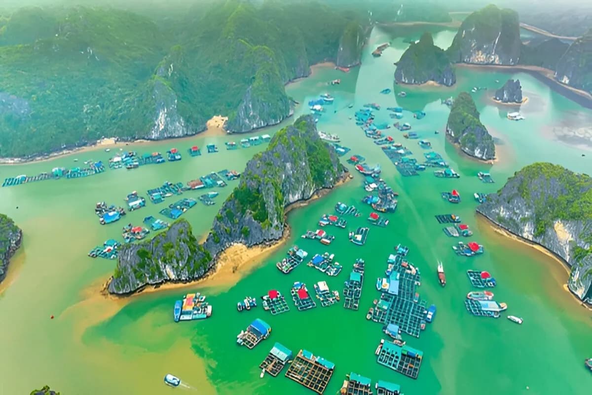 Cat Ba Island