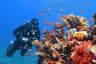 Scuba Diving in Lakshadweep
