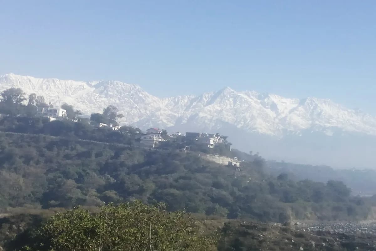 Kangra