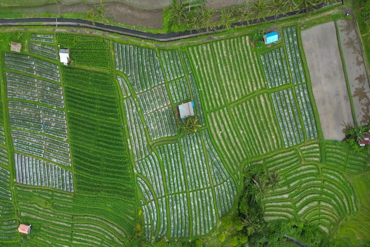 Aerial view Rice field Terraces panoramic hillside Sidemen in Bali Indonesia