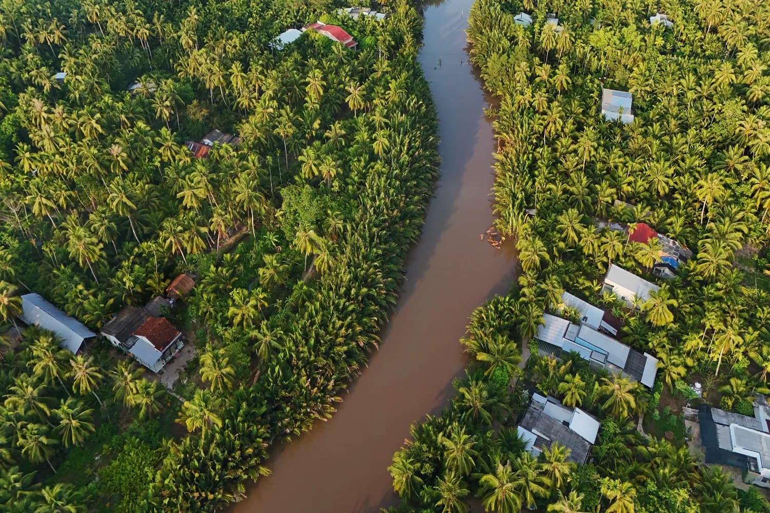 Mekong Delta