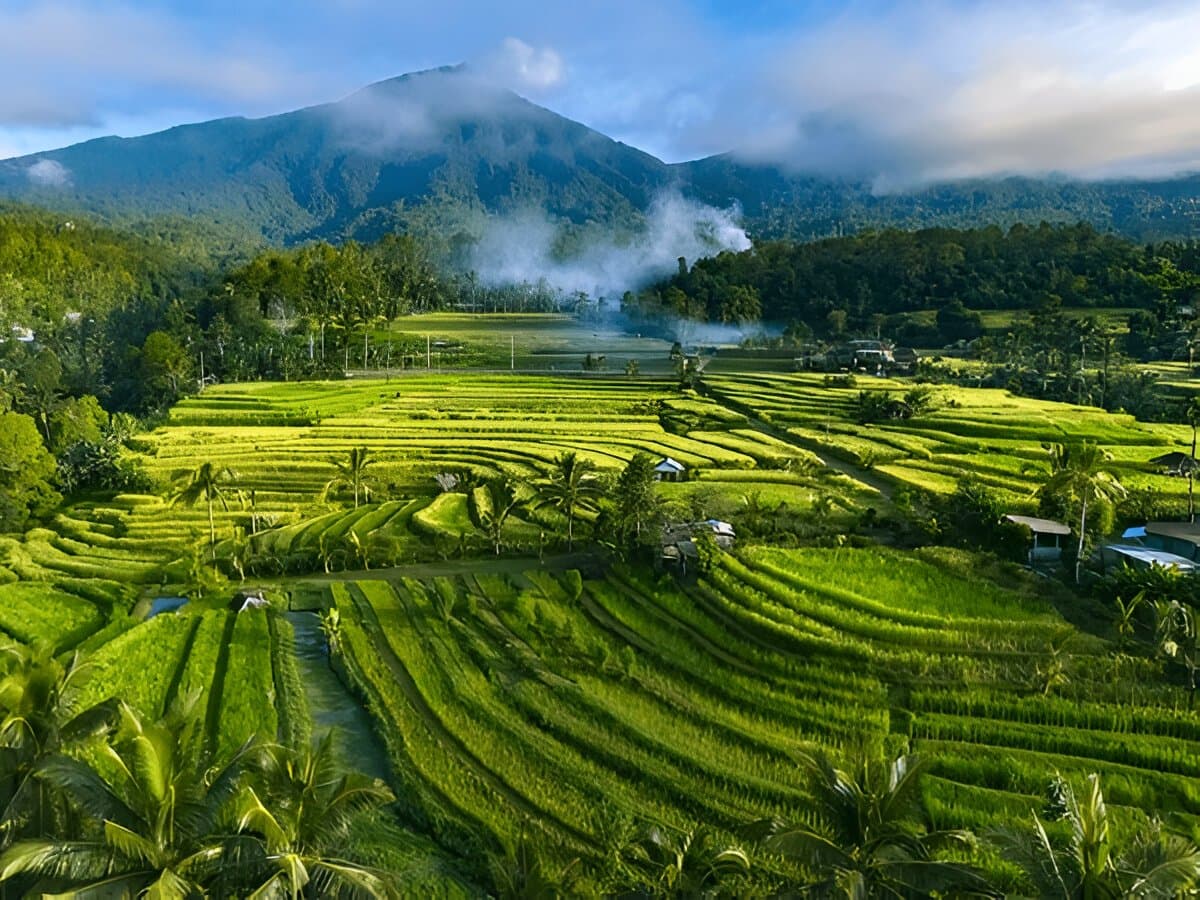 Jatiluwih Rice Terraces