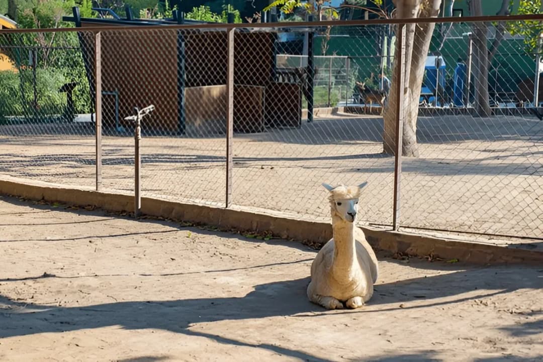 Mini Educational Exhibits