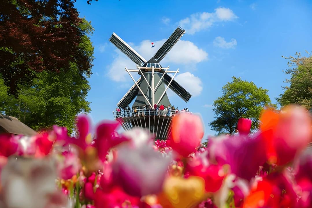 Keukenhof Windmill