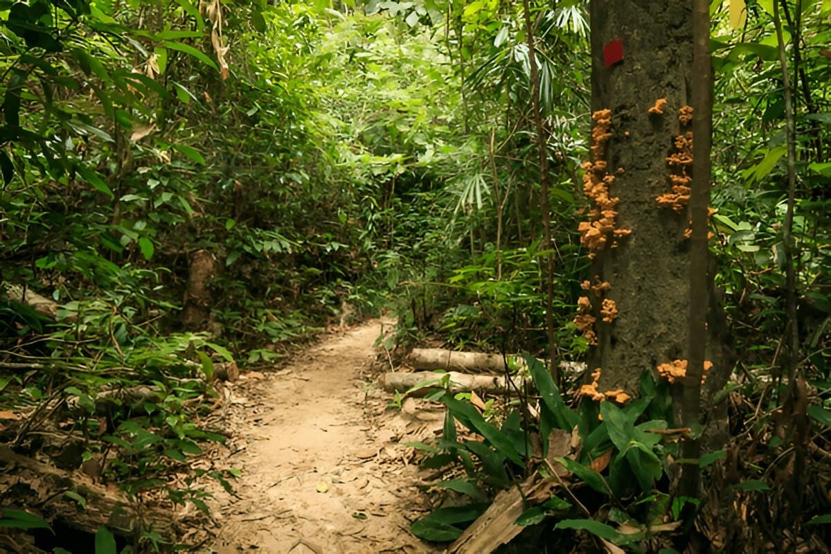 Penang National Park