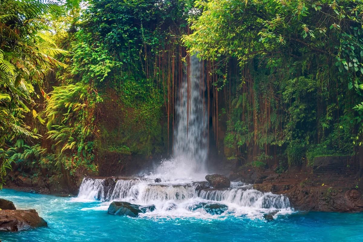 Waterfalls in Bali