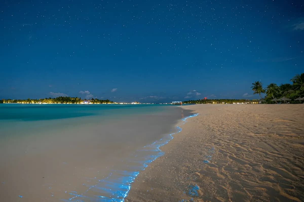 Glowing Beach Lakshadweep