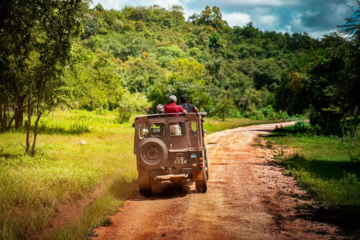 Jeep Safari