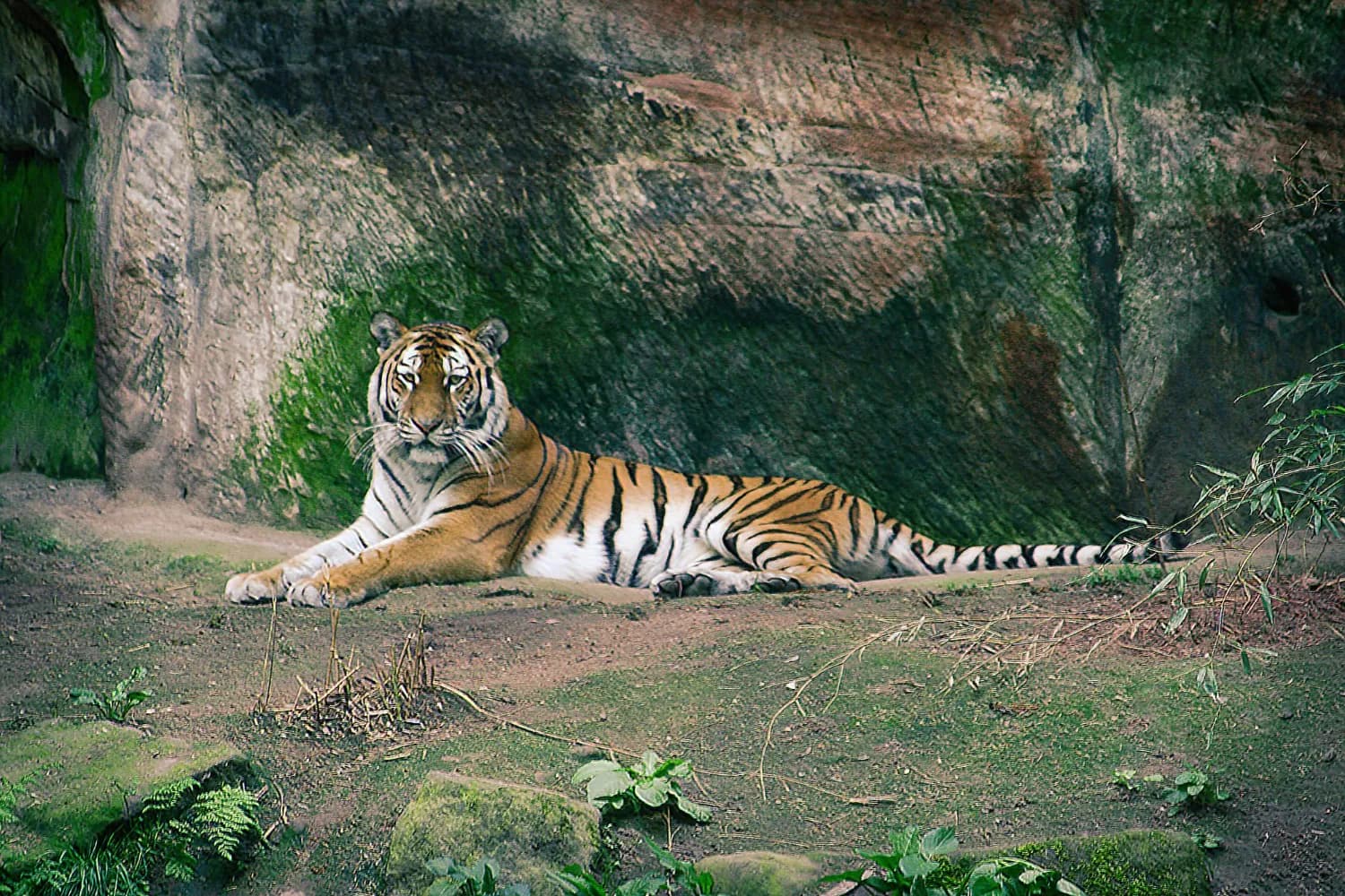 Thailand